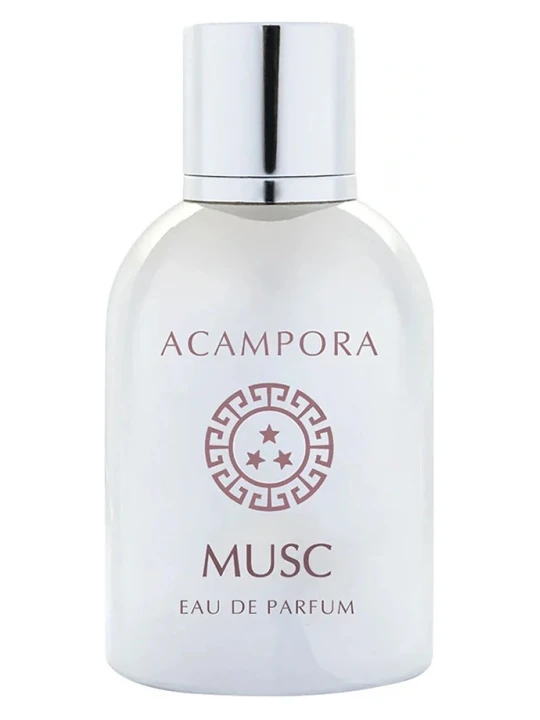 BRUNO ACAMPORA MUSC