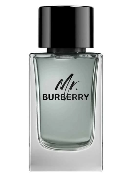 BURBERRY MR. BURBERRY