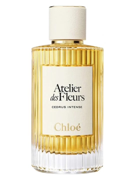 CHLOE CEDRUS INTENSE