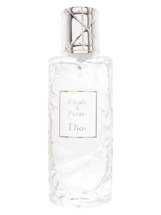 CHRISTIAN DIOR ESCALE A PARATI