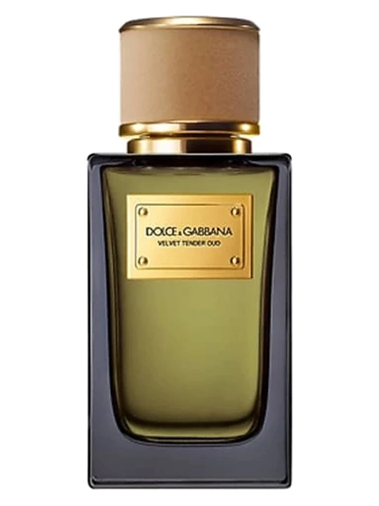DOLCE & GABBANA VELVET TENDER OUD