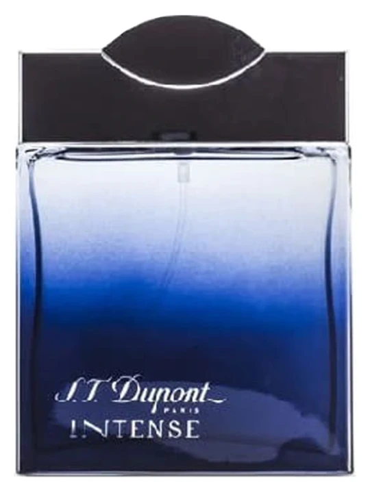 DUPONT INTENSE MAN