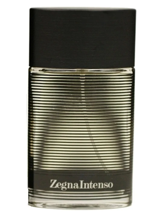 ERMENEGILDO ZEGNA INTENSO