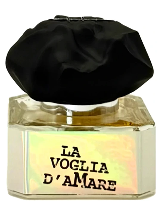 FILIPPO SORCINELLI LA VOGLIA D AMARE
