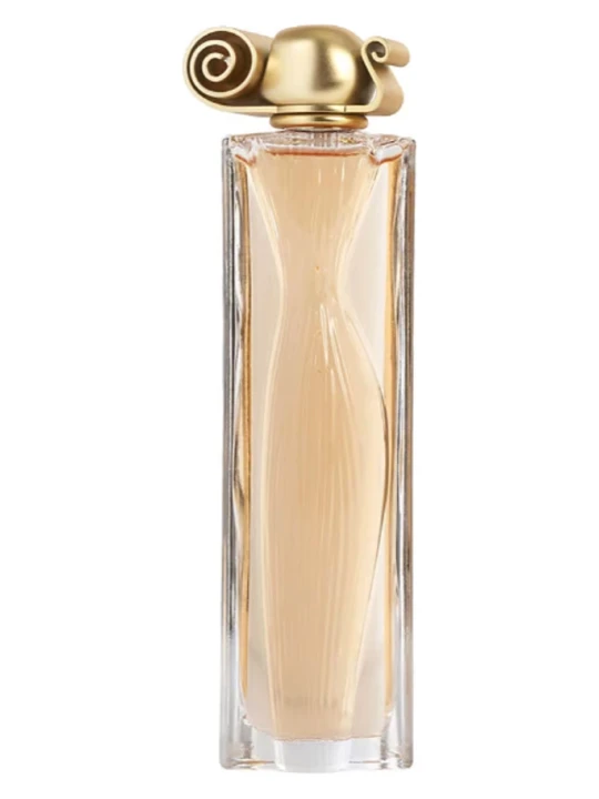 GIVENCHY ORGANZA