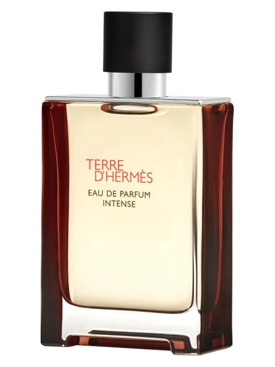 HERMES TERRE D HERMES INTENSE