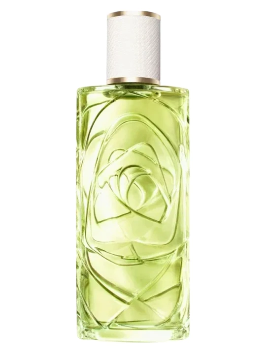 LANCOME OFF NOW