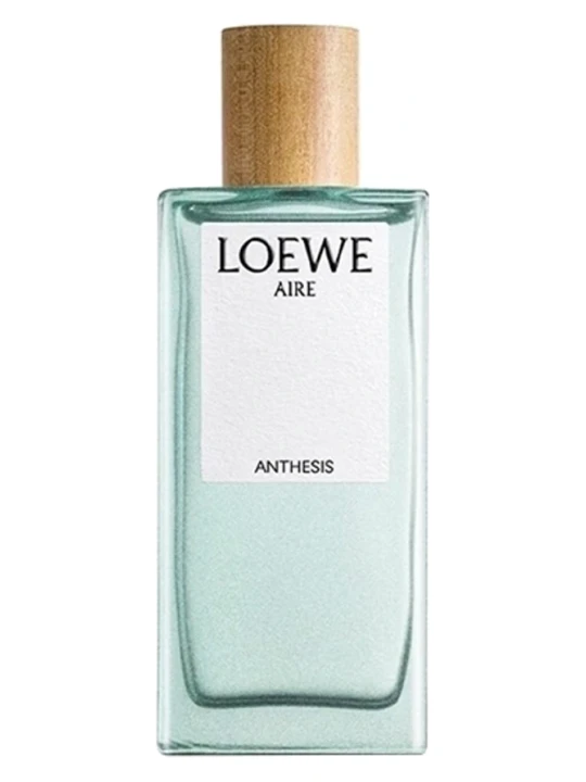 LOEWE AIRE ANTHESIS
