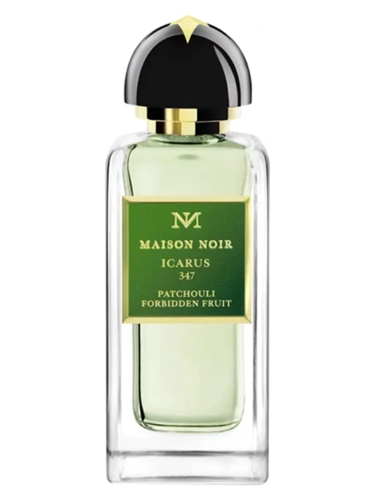 MAISON NOIR ICARUS 347