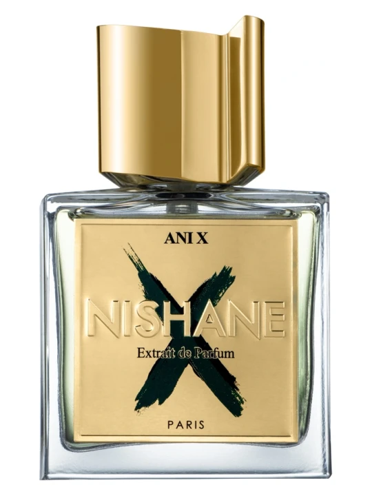 NISHANE ANI X