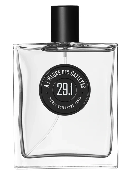 PIERRE GUILLAUME A L HEURE DES CATLEYAS 29 1