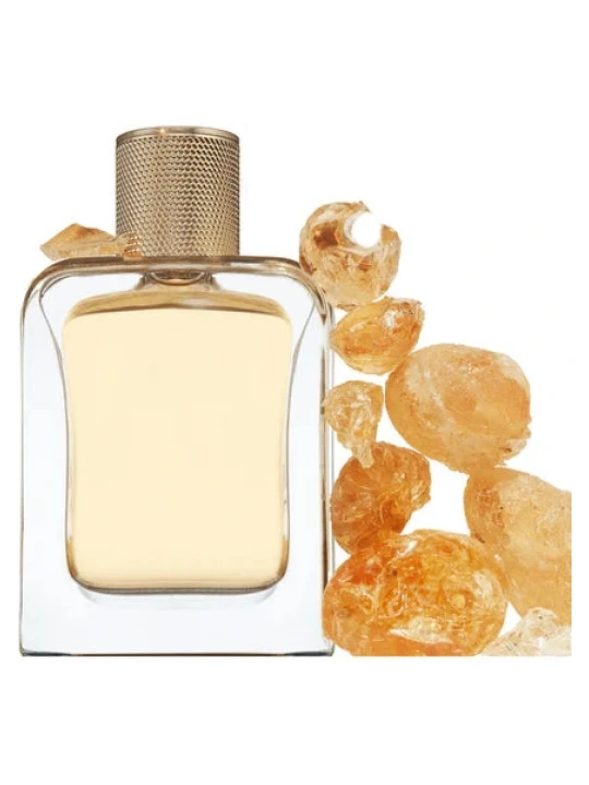 VERONIQUE GABAI SEXY GARRIGUE