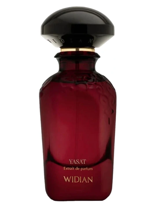 WIDIAN YASAT